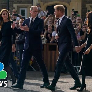 Watch: Princes William And Harry On Joint Walkabout To Meet Crowds At Windsor