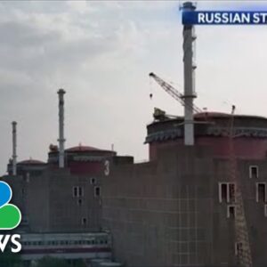 UN Inspectors Issue Warning About Zaporizhzhia’s Nuclear Plant