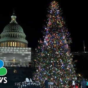 U.S. Capitol Christmas Tree Lit By Nancy Pelosi At 58th Annual Ceremony