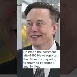 Tensions Between Musk, Democrats Flare With Trump’s Expected Return To Twitter