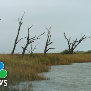 Land loss, forced migration threaten BIPOC communities in coastal Louisiana
