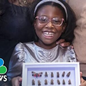 Yale honors New Jersey girl reported to police over insect project