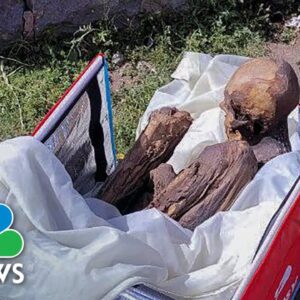 Police find ancient mummy in delivery man’s cooler bag in Peru