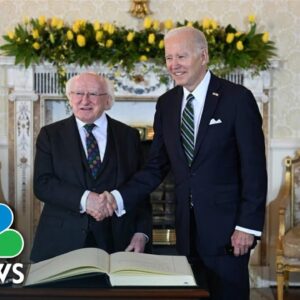 Biden continues Ireland trip amid abortion pill legal battle