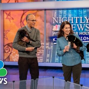 Adopting a puppy? We tell you what you need to know | Nightly News: Kids Edition