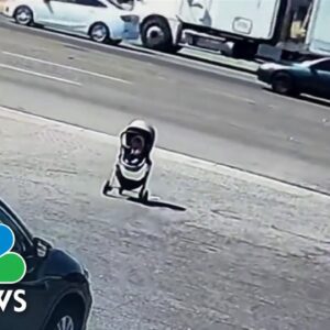 WATCH: Man races to save baby stroller rolling towards traffic