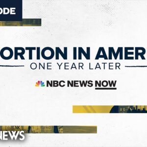 Abortion In America: One Year Later