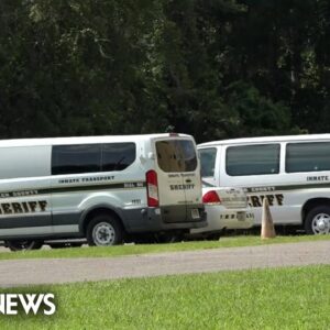 Babysitter in Florida arrested after child dies in hot car