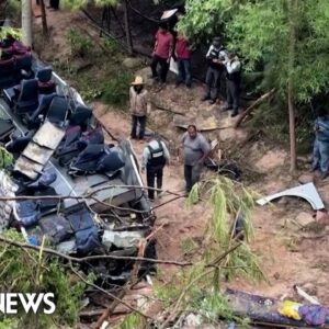 Dozens in Mexico dead after bus crashes into ravine
