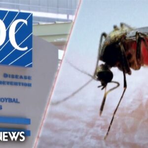 Eight cases of locally transmitted malaria discovered in Florida, Texas