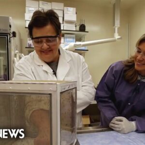 Taking a rare look inside CDC mosquito lab as officials raise new West Nile virus concerns