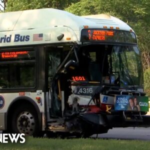 Wrong-way driver strikes Chicago transit bus, killing 1 and injuring 15