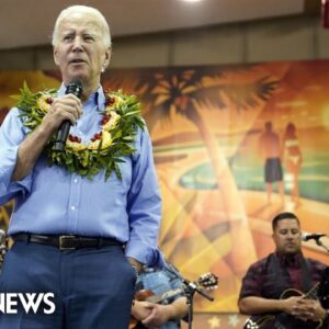 Biden vows to do ‘everything possible’ to help with Maui’s recovery