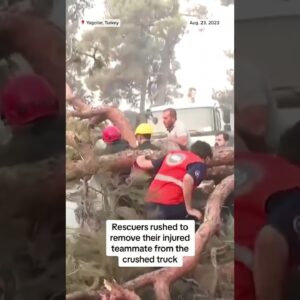 Tree collapses on emergency worker during Turkey wildfire