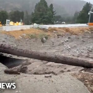 Video shows destruction caused by storm Hilary in Oak Glen, Calif.