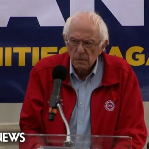 Sen. Bernie Sanders addresses auto company CEOs at rally