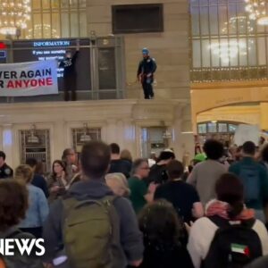 Israel-Hamas war protest closes NYC’s Grand Central Terminal