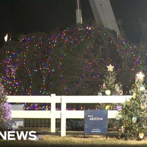 National Christmas Tree topples over amid strong winds in D.C.