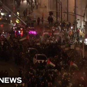 Pro-Palestinian demonstrators gather in NYC amid Rockefeller tree lighting