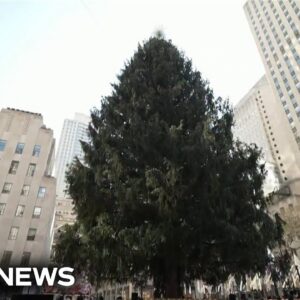The family behind this year’s Rockefeller Center Christmas Tree
