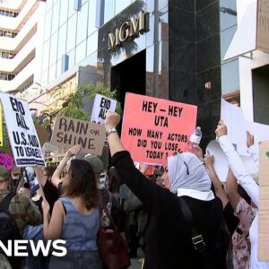 Pro-Palestinian supporters in Hollywood rally against alleged censorship