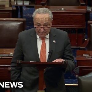 Schumer delays Senate holiday recess to work on immigration deal