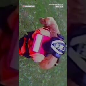 Coast Guard rescues dog that fell off cliff