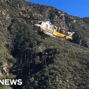 Woman trapped in car for days after falling down steep hillside rescued